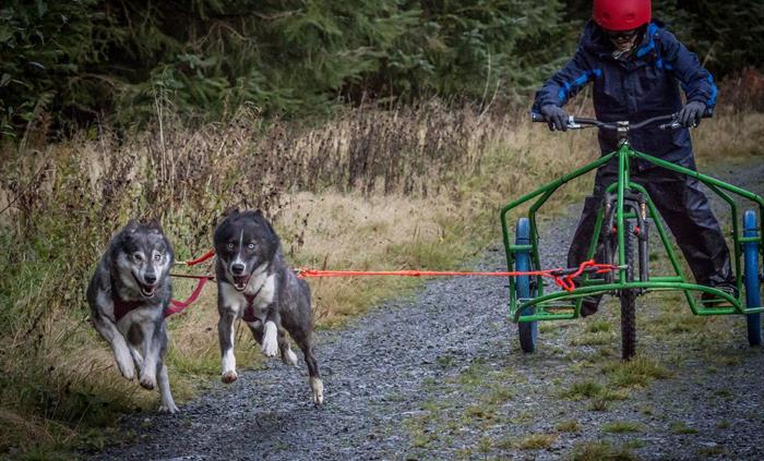 Mynydd Sleddog Adventures